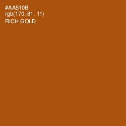 #AA510B - Rich Gold Color Image